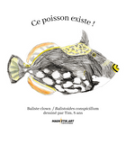 T-shirt bio unisex "CE POISSON EXISTE !"