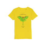 T-shirt bio enfant "CE PAPILLON EXISTE"